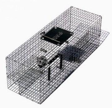 Animal Trap Hd - 6X6X16 Rats, Squirrels