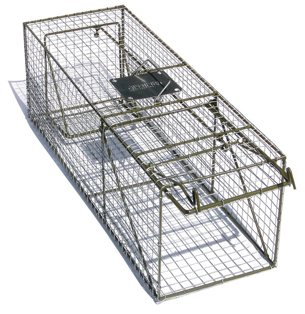 Animal Trap Hd - 6X6X16 Rats, Squirrels